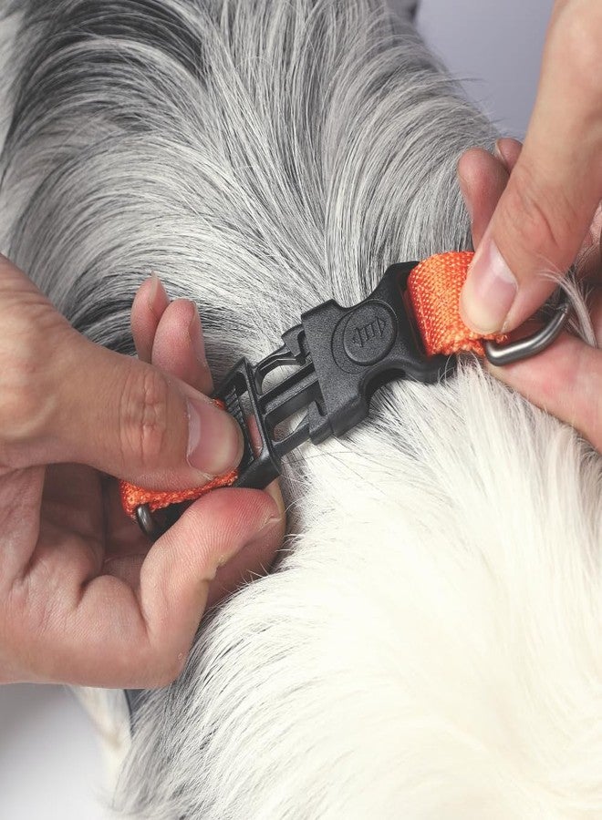 M-PETS Wild Jungle Harness for Small Dogs, Adjustable, Comfortable & Durable Harness with Lockable Buckle & Back Clip, Easy to Clean, For Walking, Training & Outdoor Activities, Small - Image 4